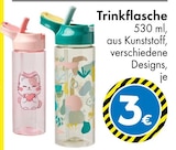 Trinkflasche Angebote bei TEDi Kaiserslautern für 3,00 €