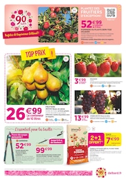 Prix et réduction Outil Multifonctions dans le prospectus Delbard en cours Offre Outil Multifonctions dans le catalogue Delbard du moment à la page 6