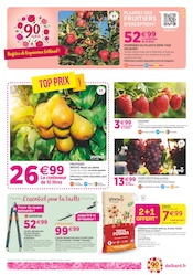 Promos Coupe-Branche Télescopique dans le catalogue "90 ans à colorer votre automne !" de Delbard à la page 6 Promos Coupe-Branche Télescopique dans le catalogue "90 ans à colorer votre automne !" de Delbard à la page 6