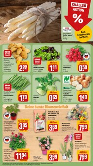 Gemüse im REWE Prospekt "Dein Markt" mit 25 Seiten (Recklinghausen)