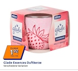 Essences Duftkerze im Angebot bei Action in München Essences Duftkerze Angebote von Glade bei Action München für 1,92 €