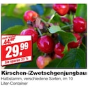 bauSpezi Neunkirchen - Kirschen-/Zwetschgenjungbau Angebot im Prospekt Kirschen-/Zwetschgenjungbau bei bauSpezi im Neunkirchen Prospekt für 29,99 €