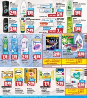 Aktueller HIT Prospekt mit Shampoo, "ECHTE VIELFALT", Seite 15