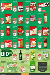 Tomaten im GLOBUS Prospekt in Neunkirchen Aktueller GLOBUS Prospekt mit Tomaten, "Aktuelle Angebote", Seite 7