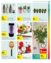 Fleurs Angebote im Prospekt "LE TOP CHRONO DES PROMOS" von Carrefour auf Seite 57