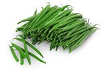 Buschbohnen Angebot im aktuellen Penny-Markt Prospekt Buschbohnen Angebot im Penny-Markt Prospekt für 1,49 €