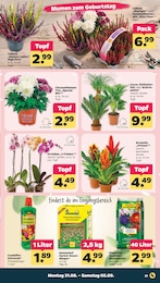 Blumenerde Angebot & Preis im aktuellen Netto mit dem Scottie Prospekt Blumenerde Angebot im aktuellen Netto mit dem Scottie Prospekt auf Seite 23