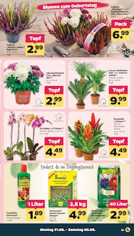Netto mit dem Scottie Prospekt der aktuellen Woche, gültig von 31.08.2026 bis 05.09.2026 Aktueller Netto mit dem Scottie Prospekt "Günstig. Besser. Für Dich." mit 49 Seiten