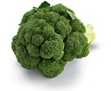 Broccoli von HEIMAT für 1,11 € bei Netto Marken-Discount im Angebot Broccoli von HEIMAT im aktuellen Netto Marken-Discount Prospekt