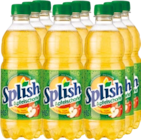 Apfelschorle von Splish im aktuellen Netto mit dem Scottie Prospekt