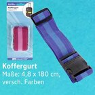 Koffergurt im Angebot bei E center in Oberursel Koffergurt Angebote bei E center Oberursel für 1,00 €