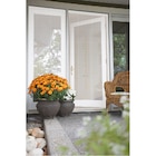 Promo Moustiquaire de porte découpable x2 à 1,99 € dans le catalogue Gifi à Nevers