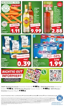 Katzenfutter im Kaufland Prospekt "Aktuelle Angebote" mit 56 Seiten (Bielefeld)
