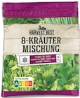 Kräuter von Harvest Best im aktuellen Netto mit dem Scottie Prospekt
