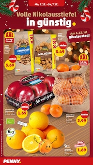 Zimmerpflanzen Angebot im aktuellen Penny Prospekt auf Seite 4