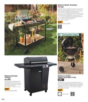 Barbecue Électrique Angebote im Prospekt "Spécial plein air" von Gamm vert auf Seite 24