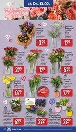 Aktueller ALDI Nord Prospekt mit Blumenzwiebeln, "Aktuelle Angebote", Seite 28