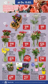 Blumenzwiebeln Angebot im aktuellen ALDI Nord Prospekt auf Seite 28