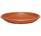 Blumentopf- Untersetzer 20cm im Angebot bei Wreesmann in Freiberg Blumentopf- Untersetzer 20cm Angebote bei Wreesmann Freiberg für 0,79 €