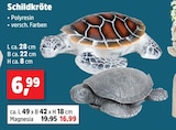 Schildkröte Polyresin Angebote bei Thomas Philipps Eberswalde für 6,99 €
