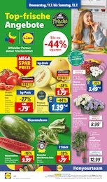 Salat Angebot im aktuellen Lidl Prospekt auf Seite 52