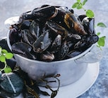 Intermarché Super Lorris - Promo Moules de corde Promo Moules de corde à 3,49 € dans le catalogue Intermarché Super à Lorris