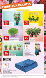 Offre Jardinage dans le catalogue Netto du moment à la page 8