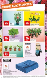Promos Potée dans le catalogue "Rendez-vous PRIX BAS !" de Netto à la page 8