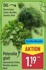 Aktuelle Kräuter Angebote bei ALDI Nord in Bochum Aktuelles Dill Angebot bei ALDI Nord in Bochum ab 1,19 €