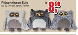 Aktuelles Plüschkissen Eule Angebot bei Die Möbelfundgrube in Mainz ab 8,99 €