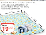 Picknickdecke mit wasserabweisender Unterseite Angebote bei GLOBUS Hanau für 19,99 €