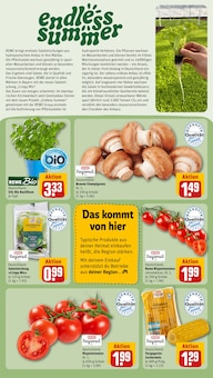 Salat im REWE Prospekt "Dein Markt" mit 30 Seiten (München)
