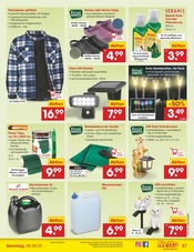 Gartendeko im Netto Marken-Discount Prospekt in Löhne Aktueller Netto Marken-Discount Prospekt mit Gartendeko, "Aktuelle Angebote", Seite 37