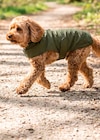 Hunde-Regenmantel im Angebot bei ALDI SÜD in Stuttgart Hunde-Regenmantel Angebote von ROMEO bei ALDI SÜD Stuttgart für 14,99 €