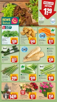 Pflanzen im REWE Prospekt "Dein Markt" mit 22 Seiten (Nürnberg)