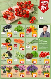 Aktueller REWE Prospekt mit Zimmerpflanzen, "Dein Markt", Seite 7
