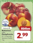 Aktuelle Nektarinen Angebote bei combi in Bielefeld Aktuelles Nektarinen Angebot bei combi in Bielefeld ab 2,99 €