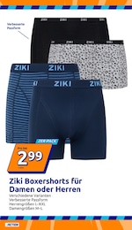 Action Damen Unterhose im Prospekt 