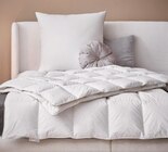 Betten-Serie „Golden Glow“ im Angebot bei XXXLutz Möbelhäuser in Göppingen Betten-Serie „Golden Glow“ Angebote von Centa-Star bei XXXLutz Möbelhäuser Göppingen für 69,90 €