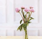 Bouquet de 5 pivoines - U - Super U à Issy-les-Moulineaux Bouquet de 5 pivoines - U en promo chez Super U Issy-les-Moulineaux à 5,99 €