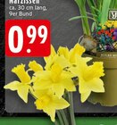 Narzissen Angebote bei EDEKA Dorsten für 0,99 €