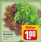 Wurzelsalat Salattrio im aktuellen REWE Prospekt