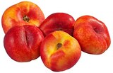 Plattnektarinen im Angebot bei REWE in Meerbusch Plattnektarinen Angebote bei REWE Meerbusch für 1,99 €