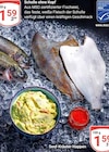 Aktuelle Kräuter Angebote bei GLOBUS in Duisburg Aktuelles Scholle ohne Kopf Angebot bei GLOBUS in Duisburg ab 1,59 €