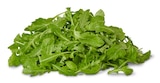 Aktuelles Naturgut Bio-Rucola Angebot bei Penny in Mannheim ab 1,69 €