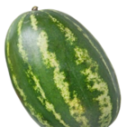 Ital./griech. Wassermelone XXL, lose für 7,99 € bei Kaufland im Angebot Ital./griech. Wassermelone XXL, lose im aktuellen Kaufland Prospekt