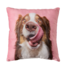 Dekokissen von  im aktuellen Woolworth Prospekt für 2,00 €