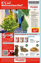 Lichterkette Angebot im aktuellen Hellweg Prospekt auf Seite 20