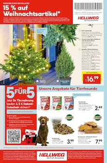 Weihnachtsbaum im aktuellen Hellweg Prospekt (Iserlohn) Weihnachtsbaum im Hellweg Prospekt "Die Profi-Baumärkte" mit 20 Seiten (Iserlohn)