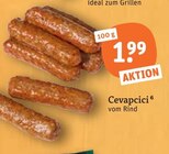 Hackfleisch im tegut Prospekt Cevapcici im aktuellen tegut Prospekt für 1,99 €